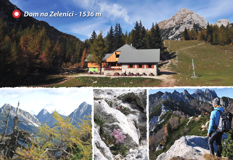 Dom_na_Zelenici_razglednica Dom_na_Zelenici_razglednica