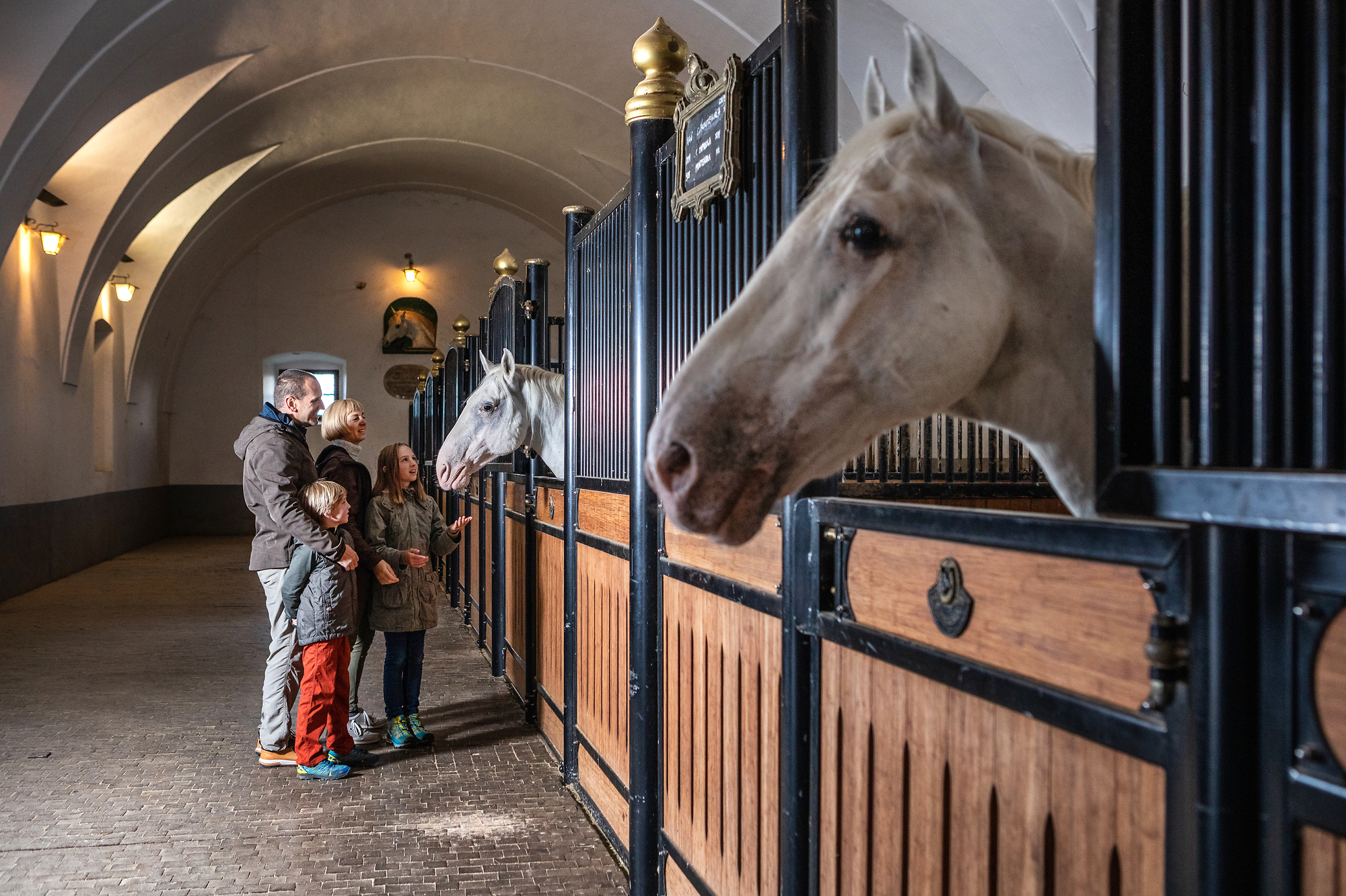F014843_lipica_alpe_adria_trail_jost_gantar_1_photo_m F014843_lipica_alpe_adria_trail_jost_gantar_1_photo_m