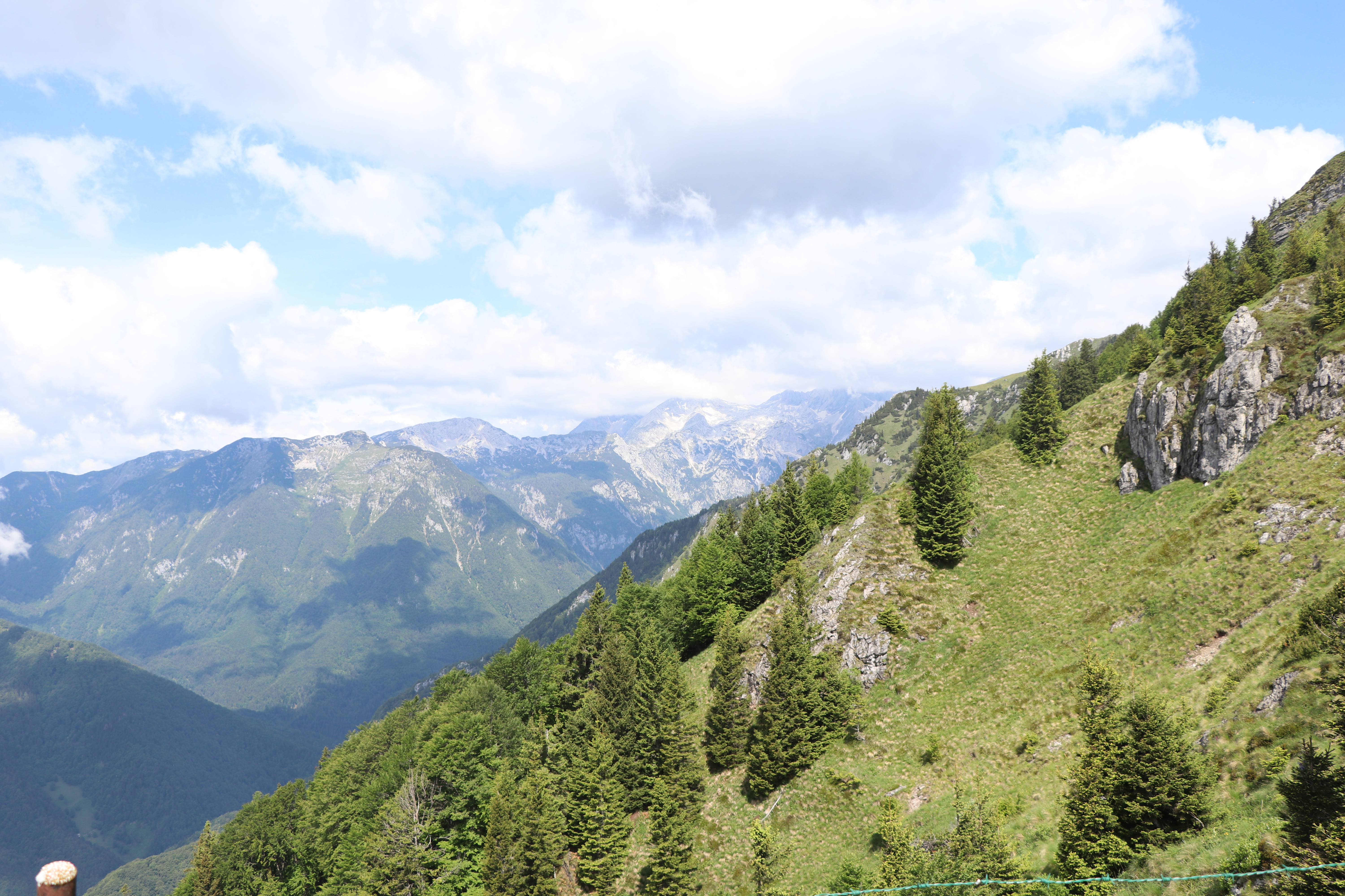 IMG_3070 IMG_3070