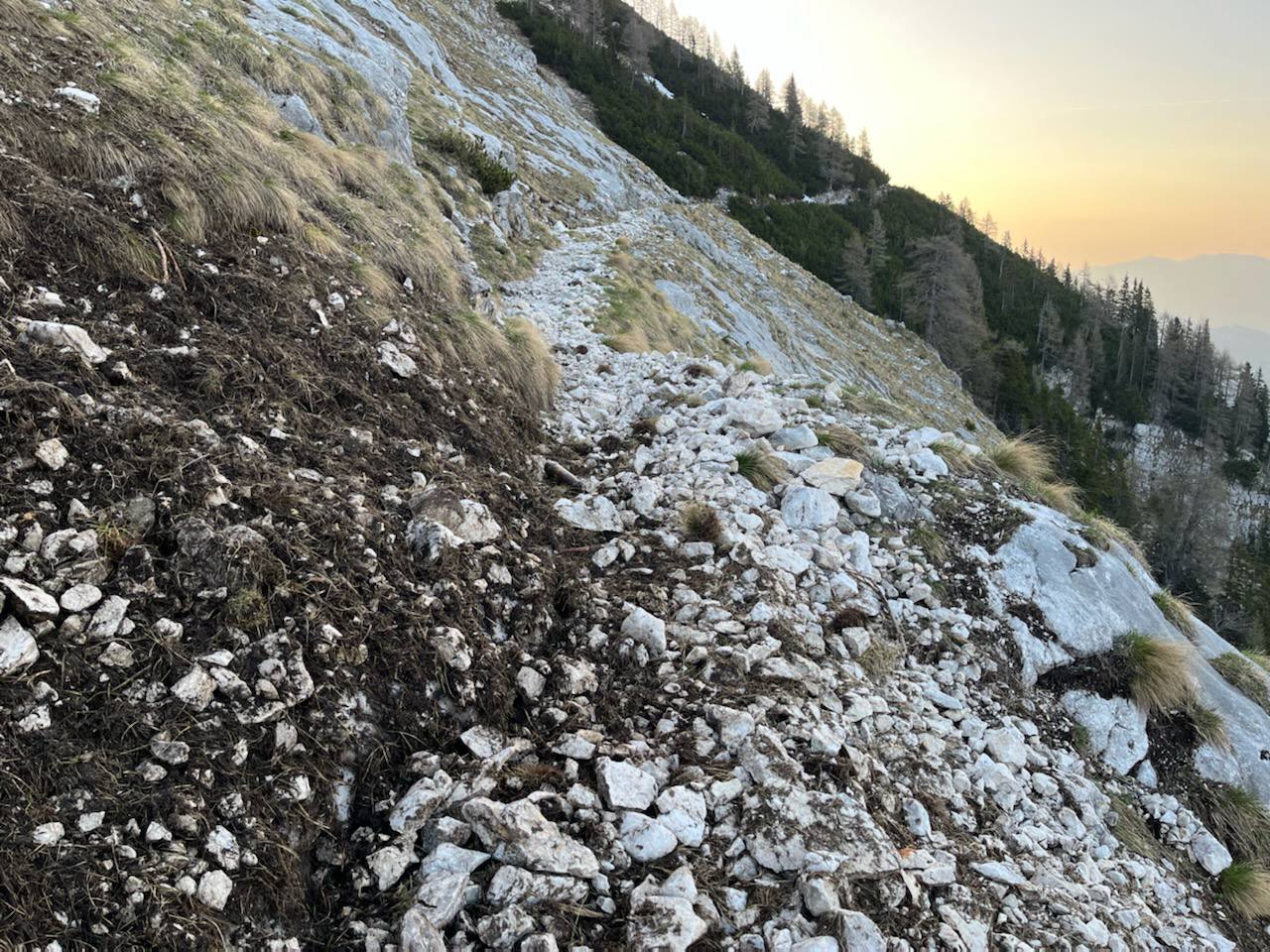 IMG_8083001__002_ IMG_8083001__002_