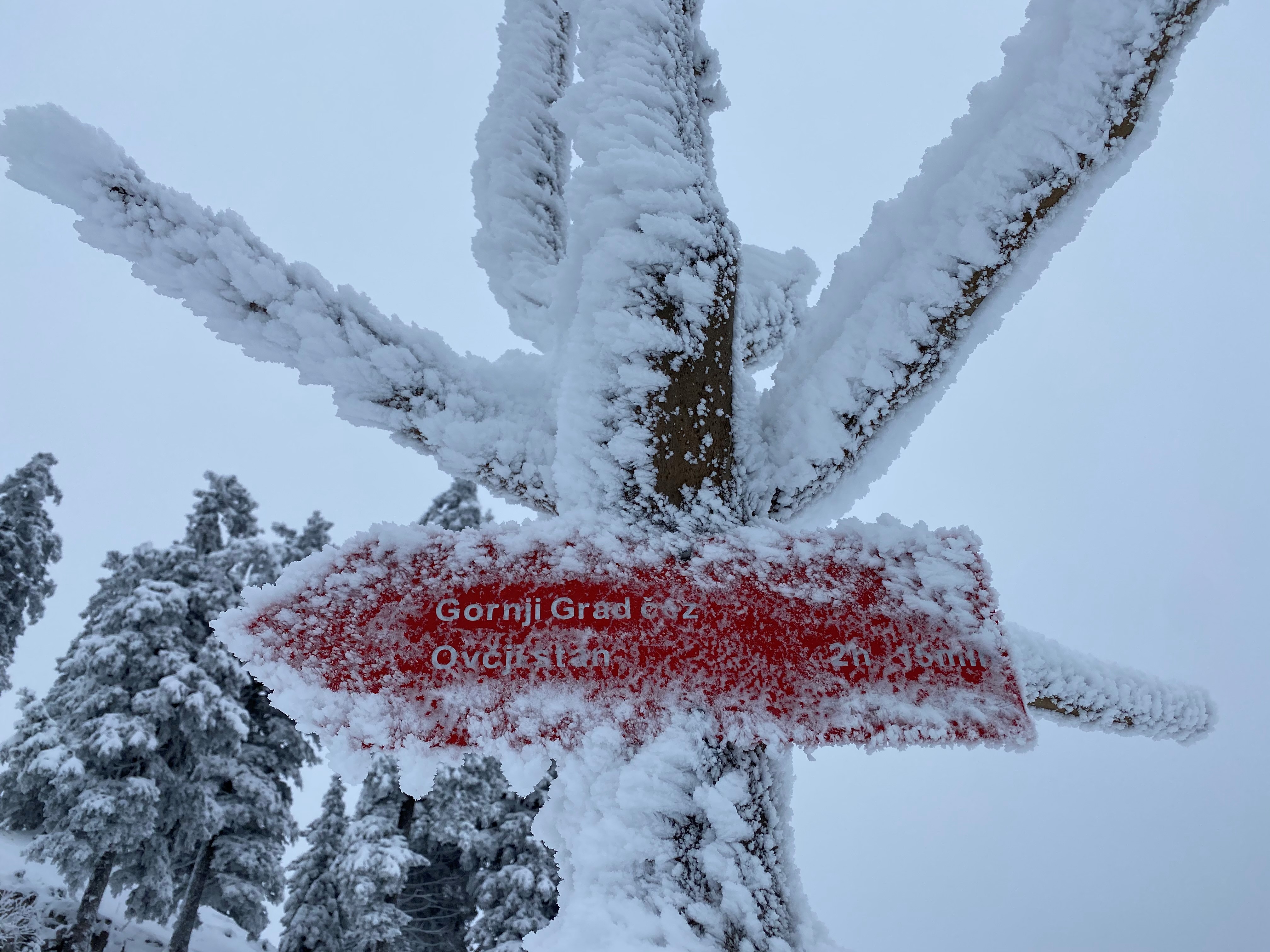 Menina_Planina_mraz_foto_BGO Menina_Planina_mraz_foto_BGO