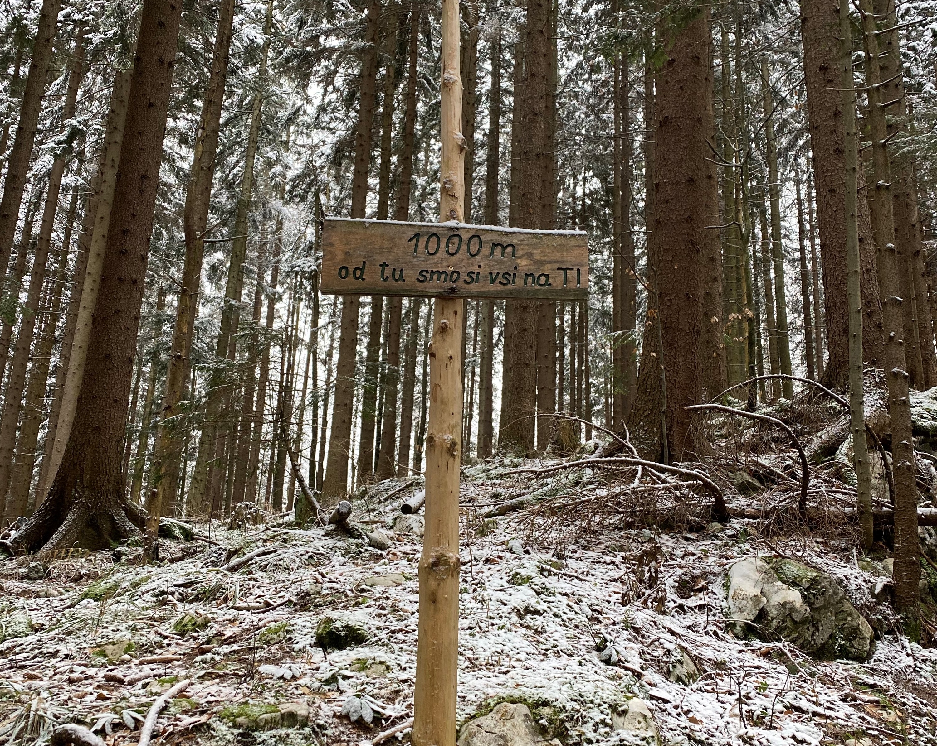 Menina_Planina_tiso__foto_BGO Menina_Planina_tiso__foto_BGO