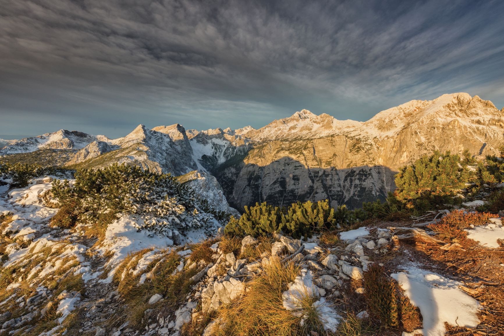 Rojnik_Bor_Na_Lipannskem_vrhu_proti_Triglavu__Rjavina_Manj_a