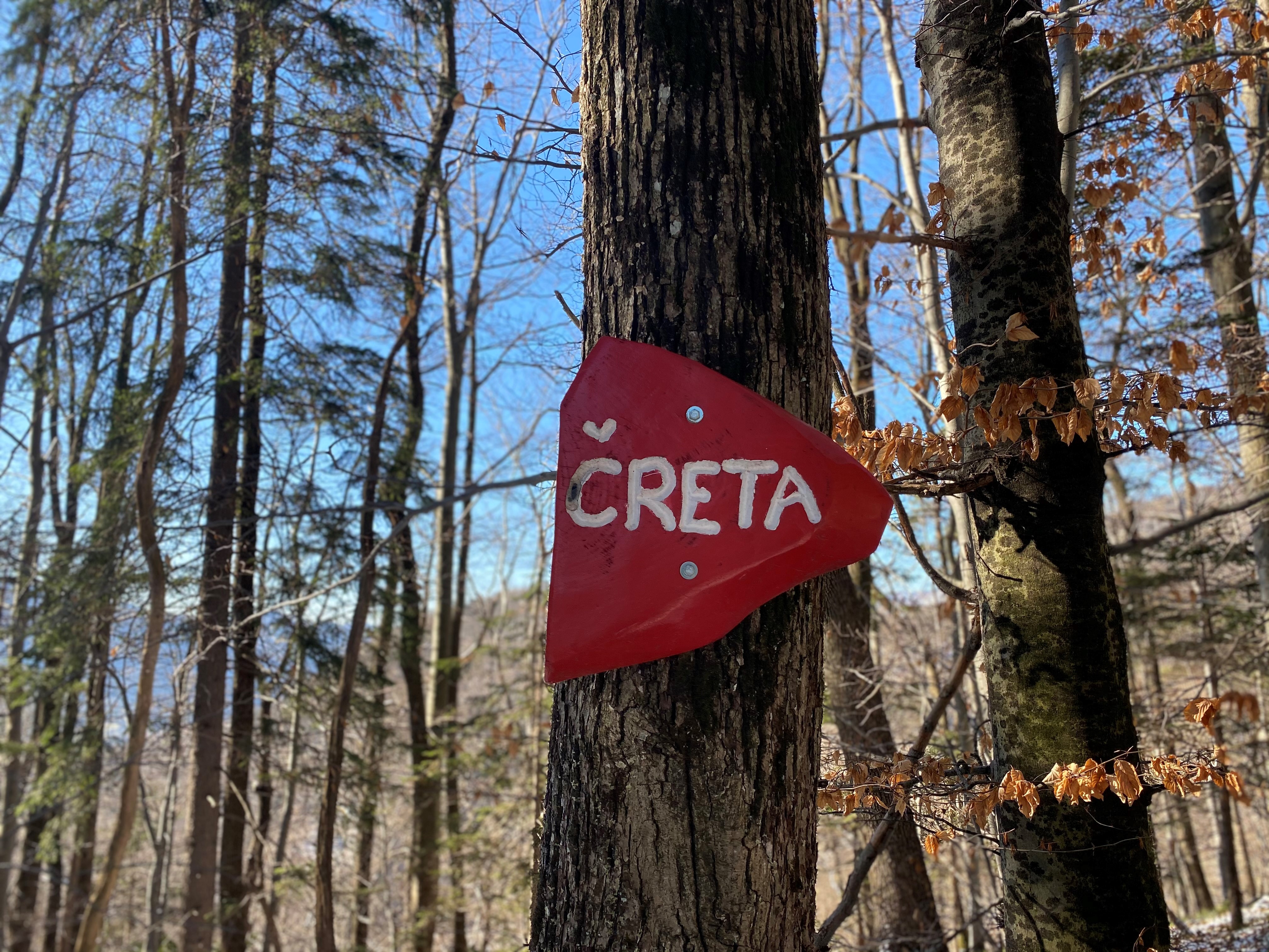 _reta4_foto_BGO _reta4_foto_BGO