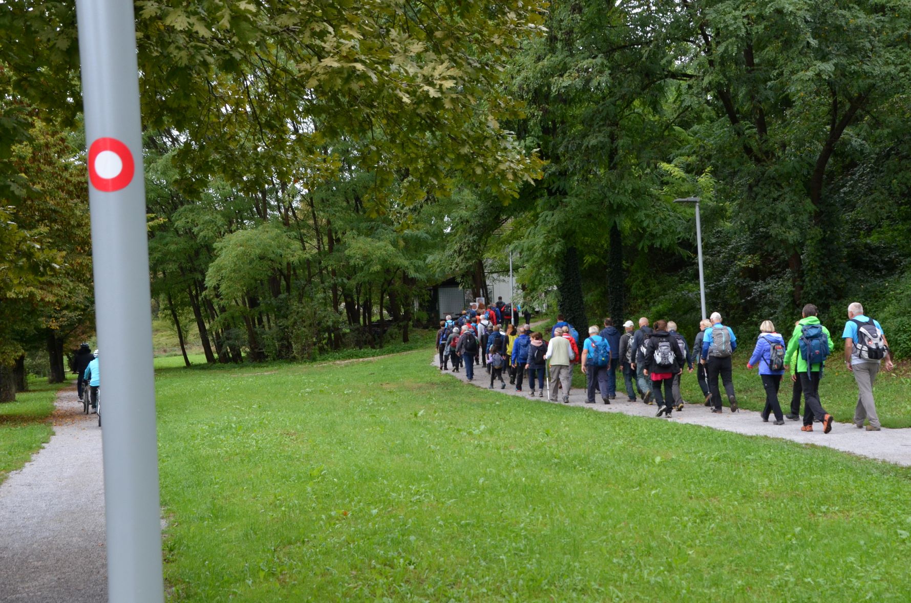 knafelc_NM_5 knafelc_NM_5