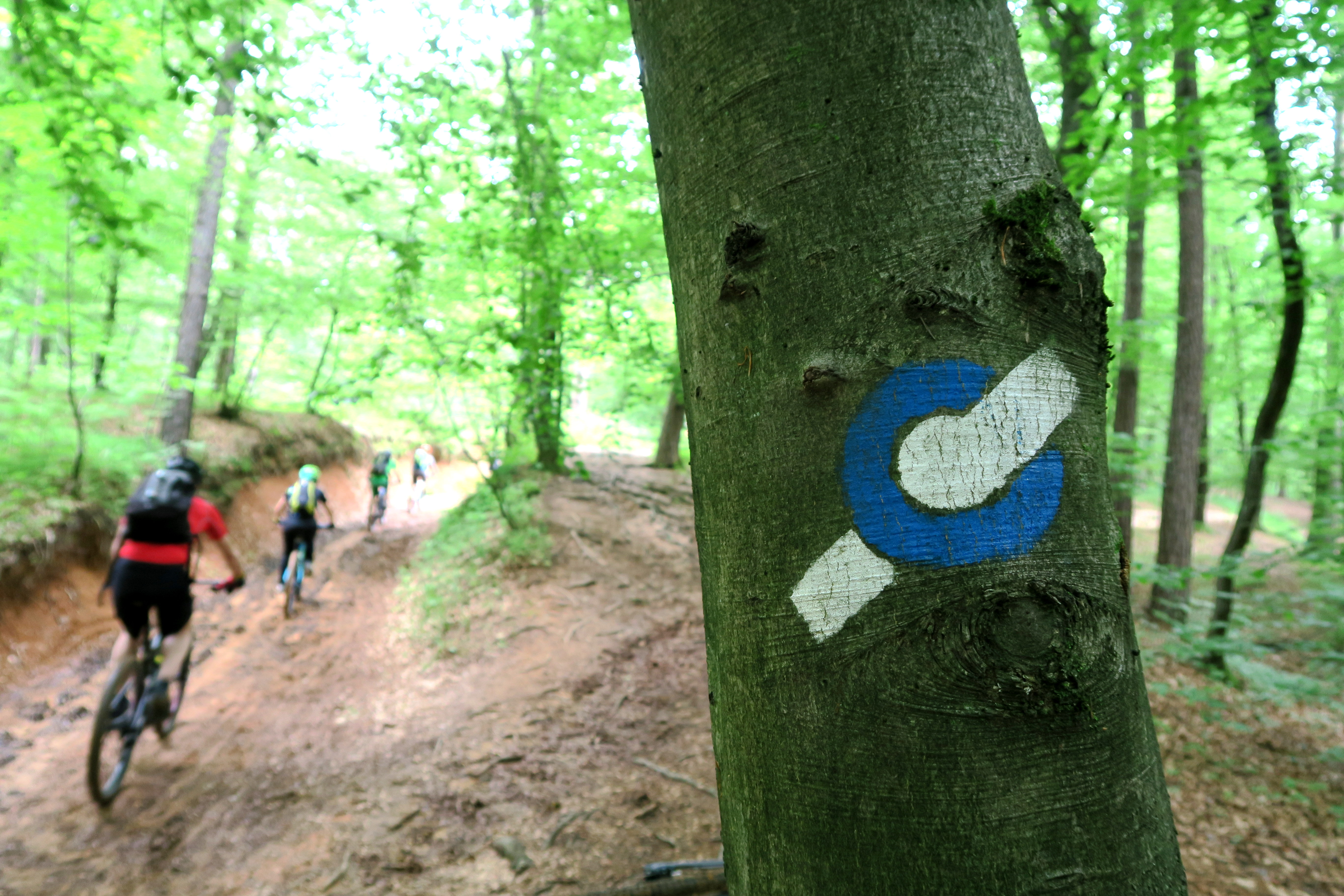 kolesarji_foto_manca_ogrin kolesarji_foto_manca_ogrin