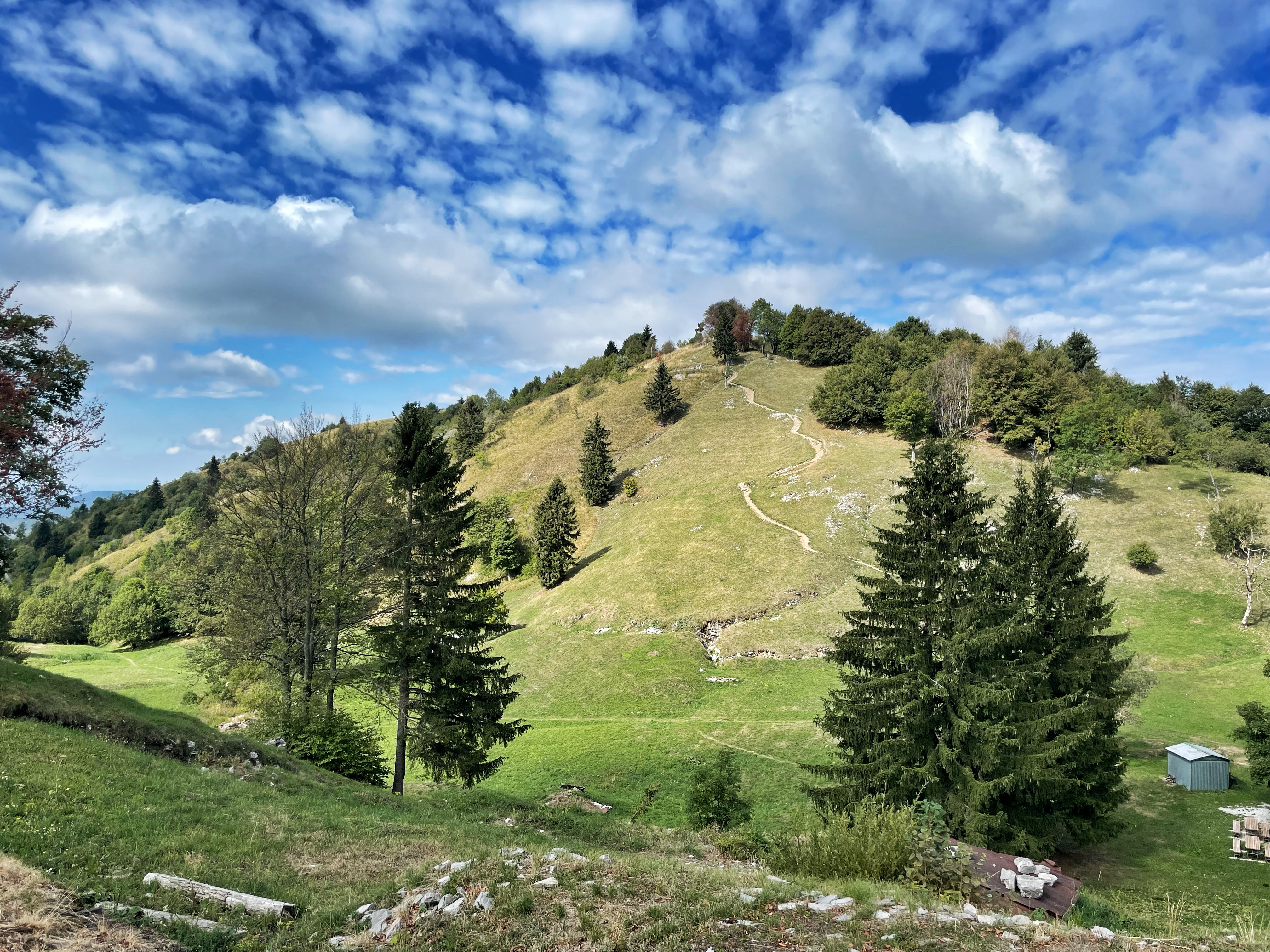 kolovrat___liv_ki_2 kolovrat___liv_ki_2