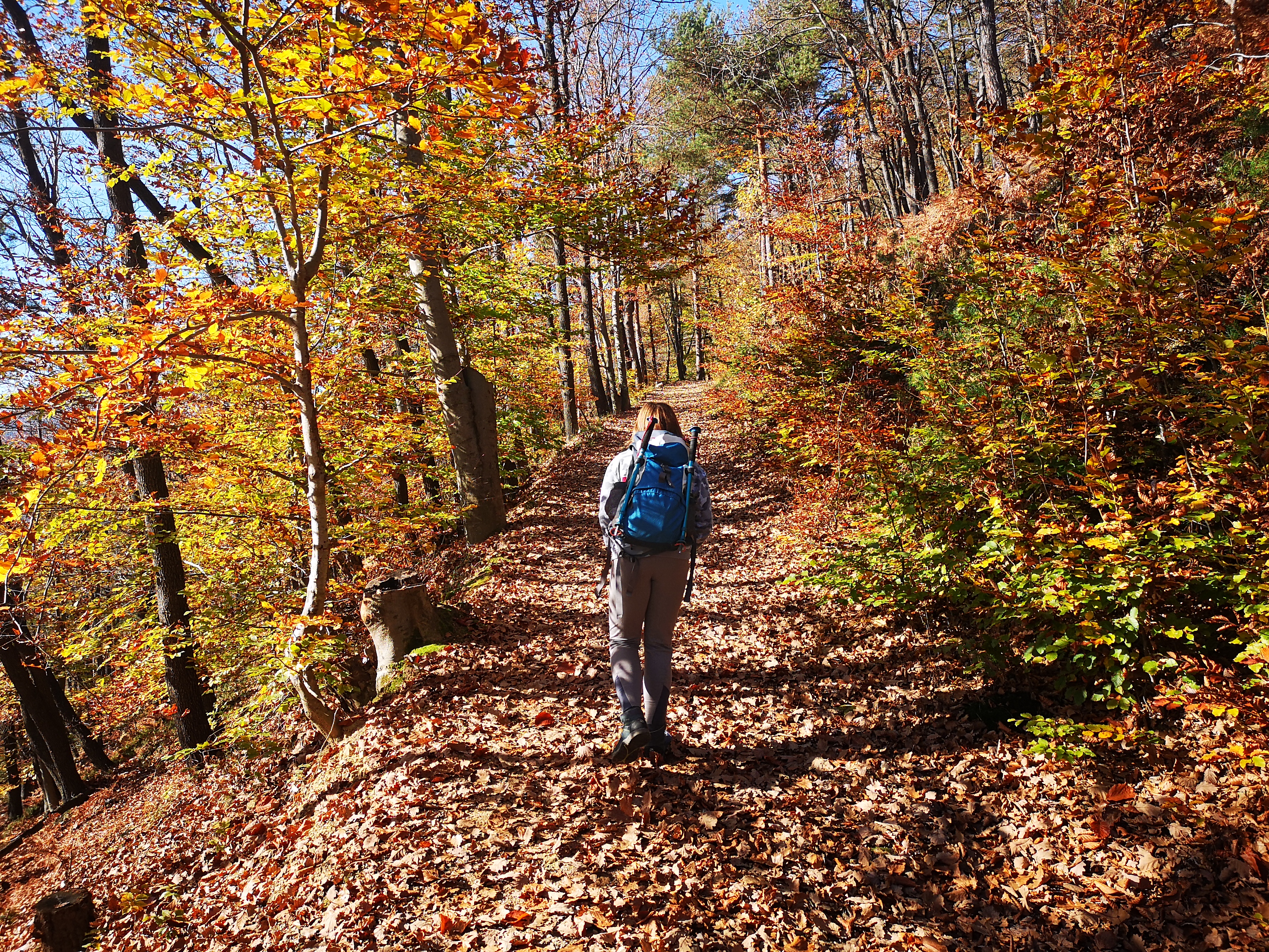 mlada_planinka_Samo_Seni_ar mlada_planinka_Samo_Seni_ar