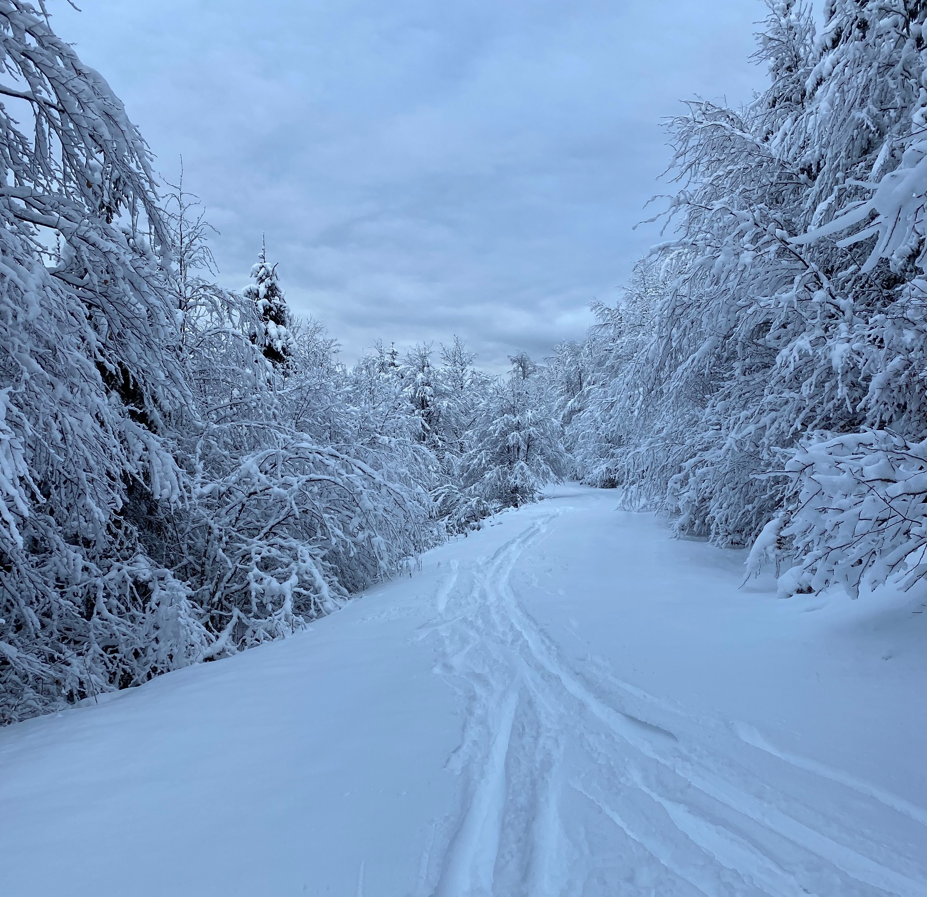 sneg_foto_BGO sneg_foto_BGO