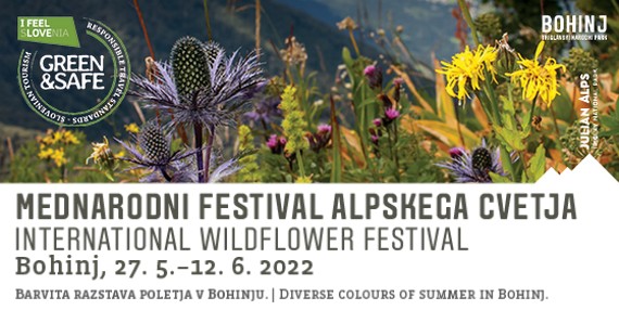 festival_banner festival_banner