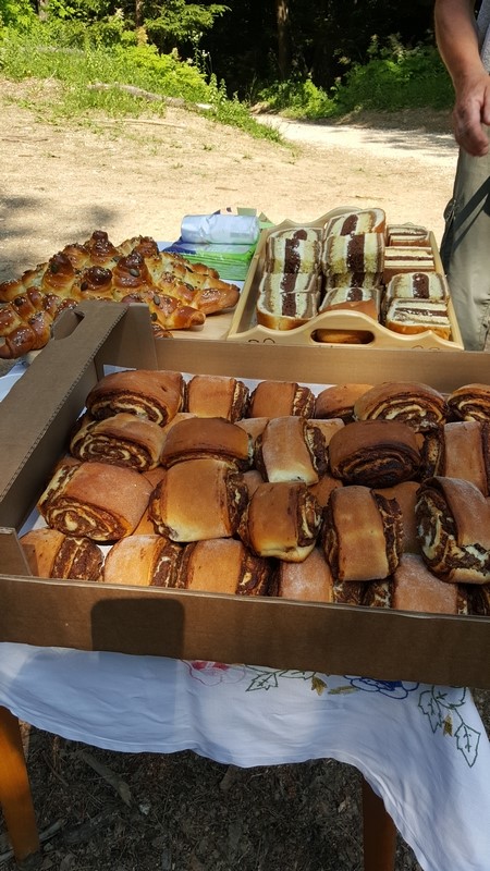 Reciska_krozna_junij_2017_3 Reciska_krozna_junij_2017_3