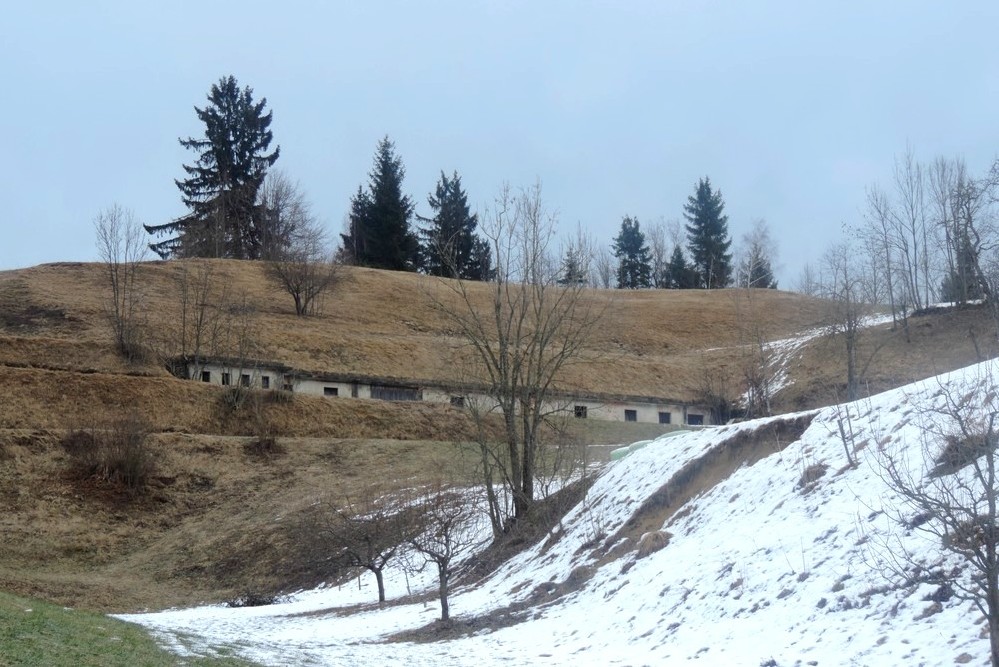 mrzlik_foto_matej_ogorevc__4_ mrzlik_foto_matej_ogorevc__4_