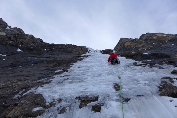 Tanek led v smeri Fantastic Mr. Fox