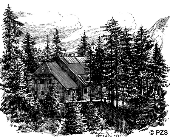 Erjavceva_ko_a_na_Vrsicu_m