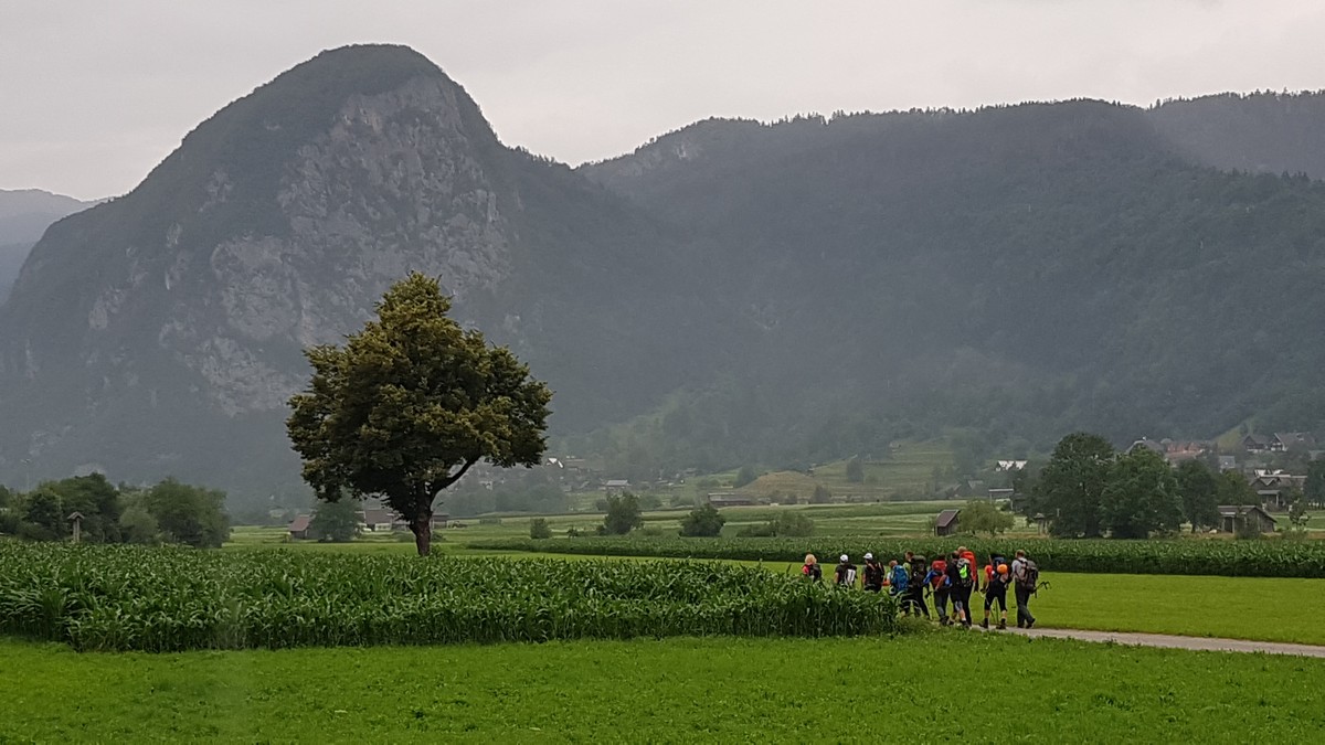 pzs_240_let_vzpona_triglav_vir_organizator__1_ pzs_240_let_vzpona_triglav_vir_organizator__1_