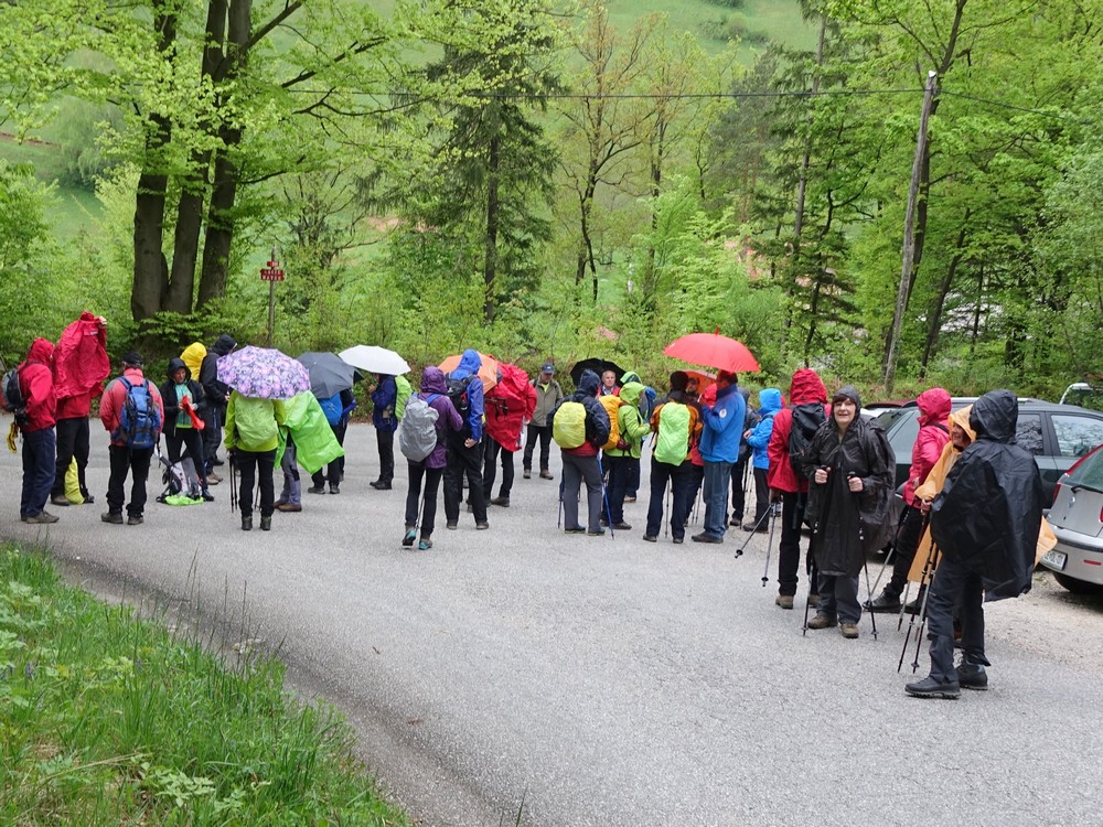 kvgn_pzs_naravovarstevni_pohod_smdo_2019_foto_martin_skoberne_812 kvgn_pzs_naravovarstevni_pohod_smdo_2019_foto_martin_skoberne_812