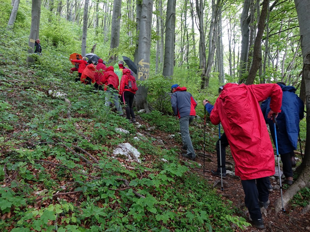 kvgn_pzs_naravovarstevni_pohod_smdo_2019_foto_martin_skoberne_819 kvgn_pzs_naravovarstevni_pohod_smdo_2019_foto_martin_skoberne_819