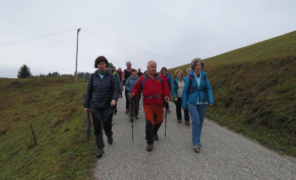 kvgn_pzs_srecanja_mdo_posocja_notranjske_2019_foto_katja_zagar_1 kvgn_pzs_srecanja_mdo_posocja_notranjske_2019_foto_katja_zagar_1