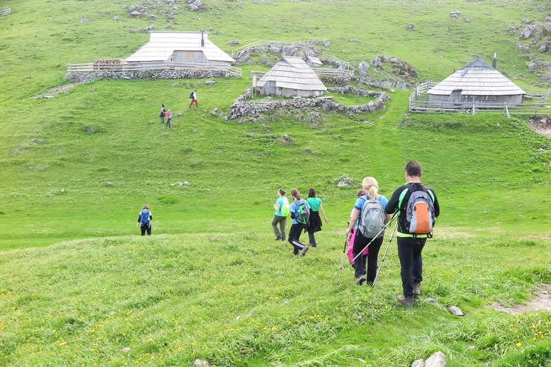 kvgn_pzs_usposabljanja_tecaj_2017_drugi_del_mala_planina_foto_arhiv_kvgn__13_