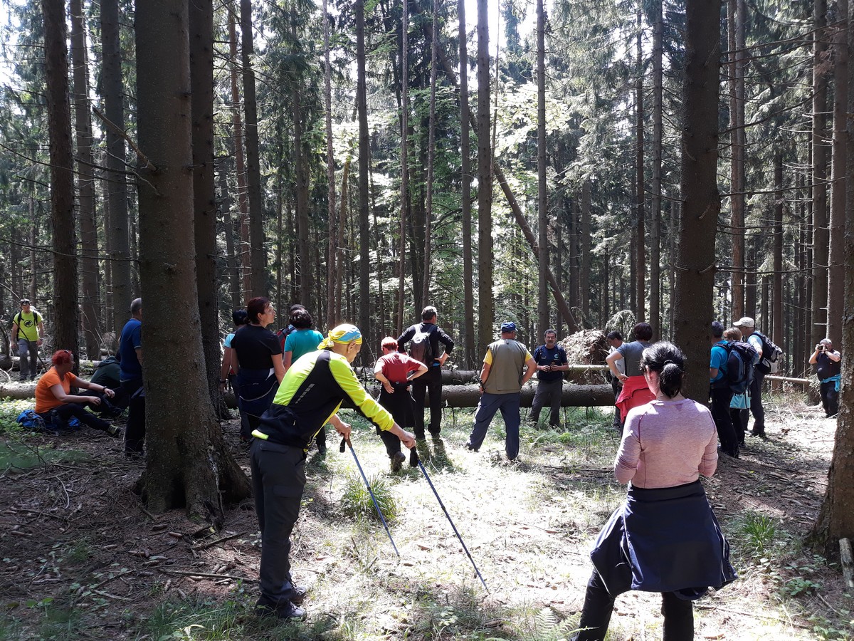 mdo_pd_koroske_gorski_strazar_tecaj_2018_foto_janez_senica__10_ mdo_pd_koroske_gorski_strazar_tecaj_2018_foto_janez_senica__10_