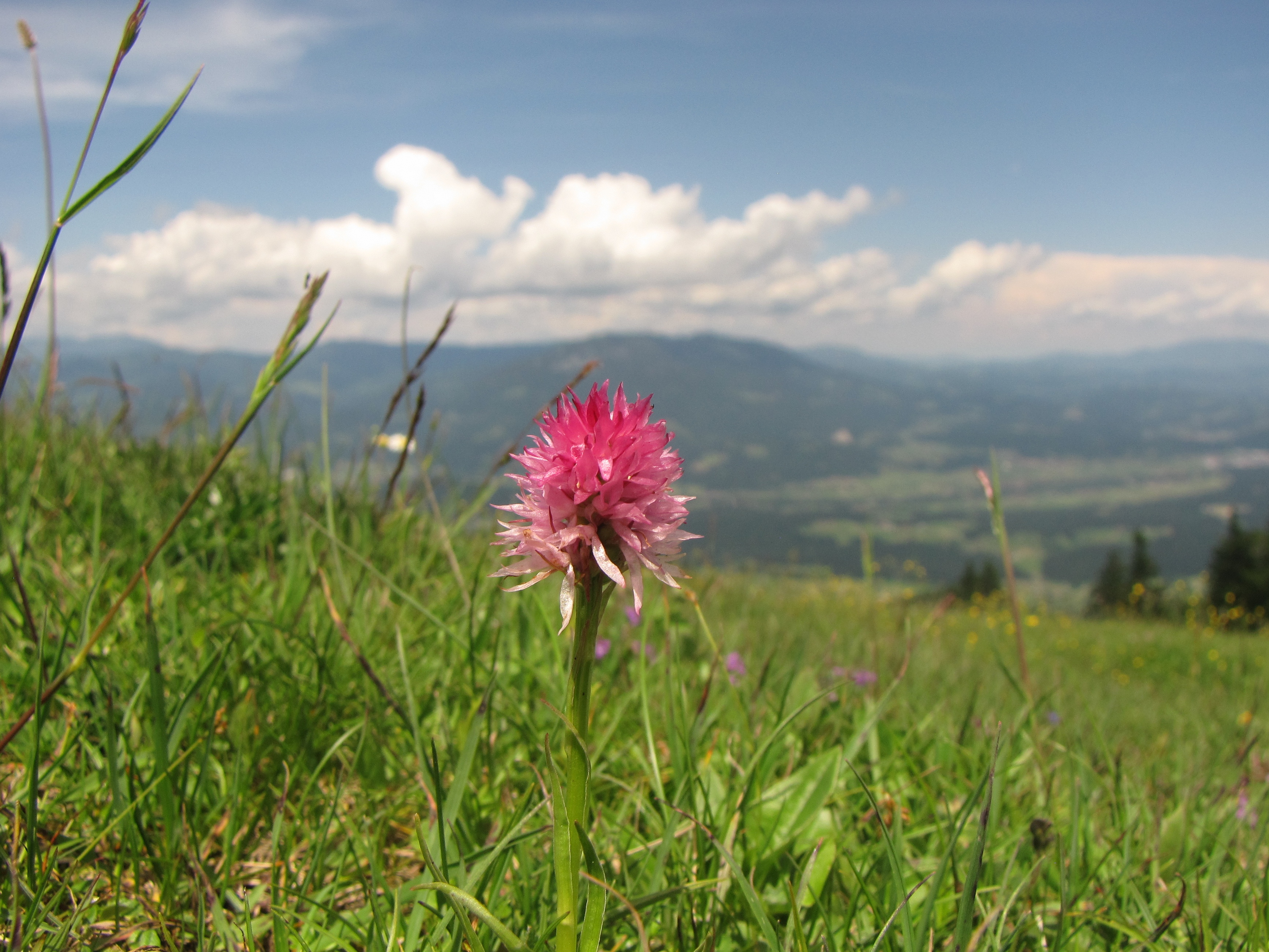 Vabilo na koferenco Vabilo na koferenco