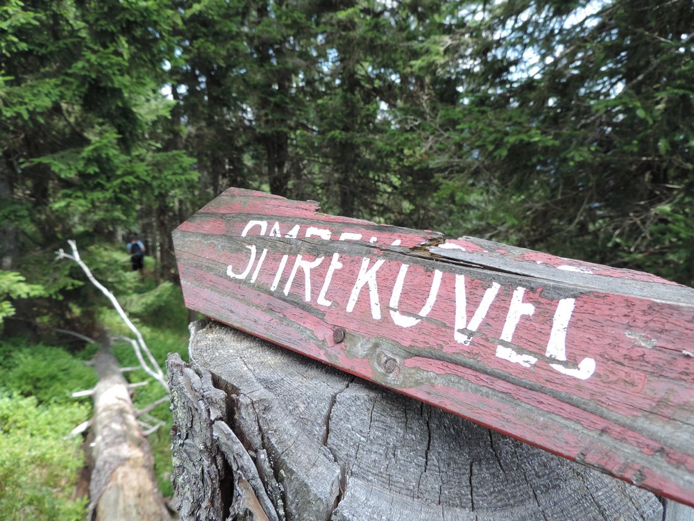 na_smrekovec_foto_matej_ogorevc na_smrekovec_foto_matej_ogorevc