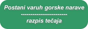 tecaj_vgn_gumb tecaj_vgn_gumb