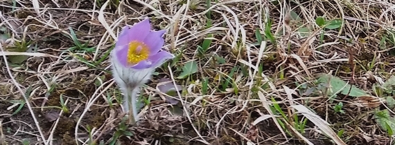 mdo_dol_bele_krajine_ekskurzija_vgn_gs_ponikve_foto_rudolf_skobe__2_ mdo_dol_bele_krajine_ekskurzija_vgn_gs_ponikve_foto_rudolf_skobe__2_