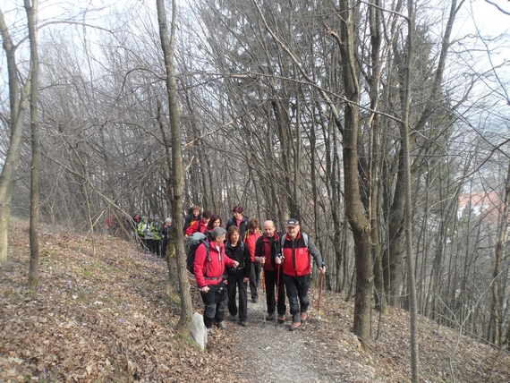 mdo_gorenjske_gorski_strazar_2017_foto_marta_baselj__1_