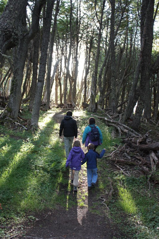 PZS_Z_roko_v_roki_foto_Persolja_8m