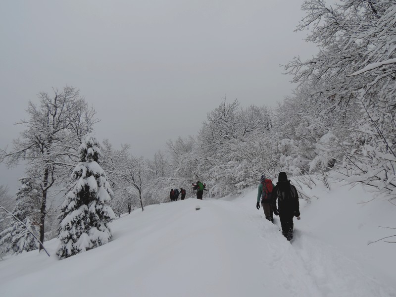 mk_pzs_s_studenti_v_hribe_krim_2018_foto_matej_ogorevc__2_ mk_pzs_s_studenti_v_hribe_krim_2018_foto_matej_ogorevc__2_