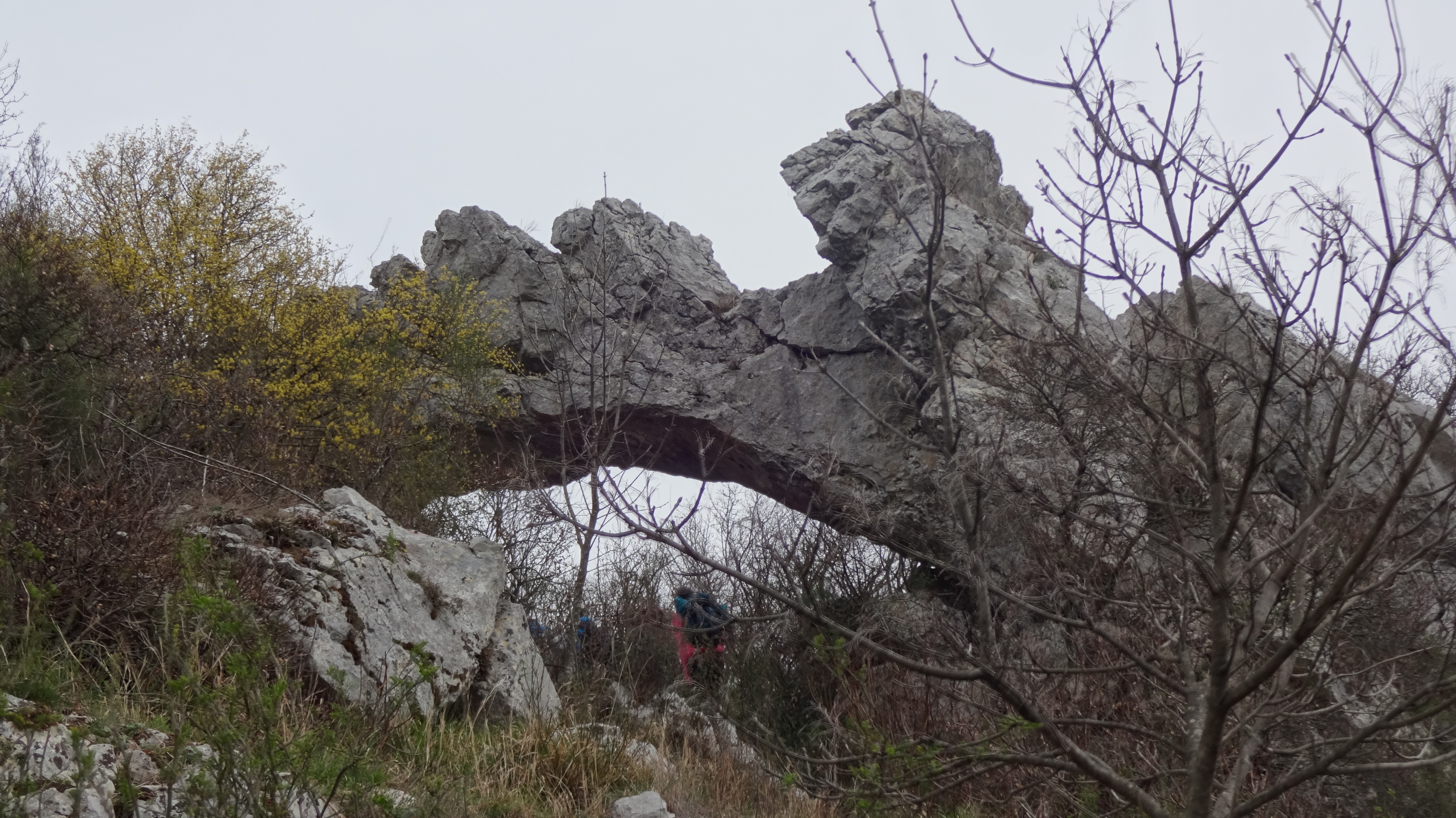 mk_pzs_s_studenti_v_hribe_usesa_istre_foto_barbara_bajcer__18_
