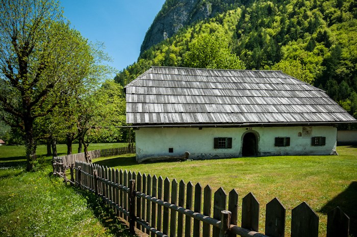 Dan_AK2014_za_povabilo_Pocarjeva_domacija_foto_Ales_Zdesar_m