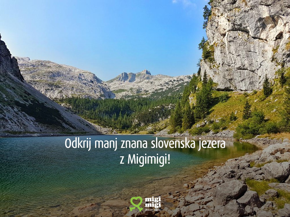 Planinska_zveza_1000px Planinska_zveza_1000px