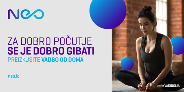 vadi_doma_600x300 vadi_doma_600x300