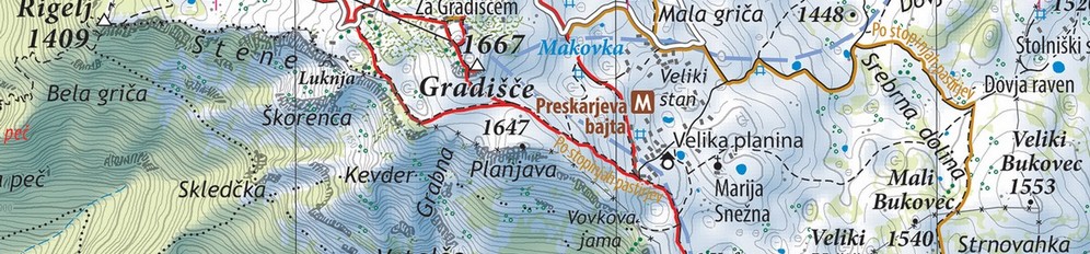 Kamnik_in_okolica_2021_pasica Kamnik_in_okolica_2021_pasica